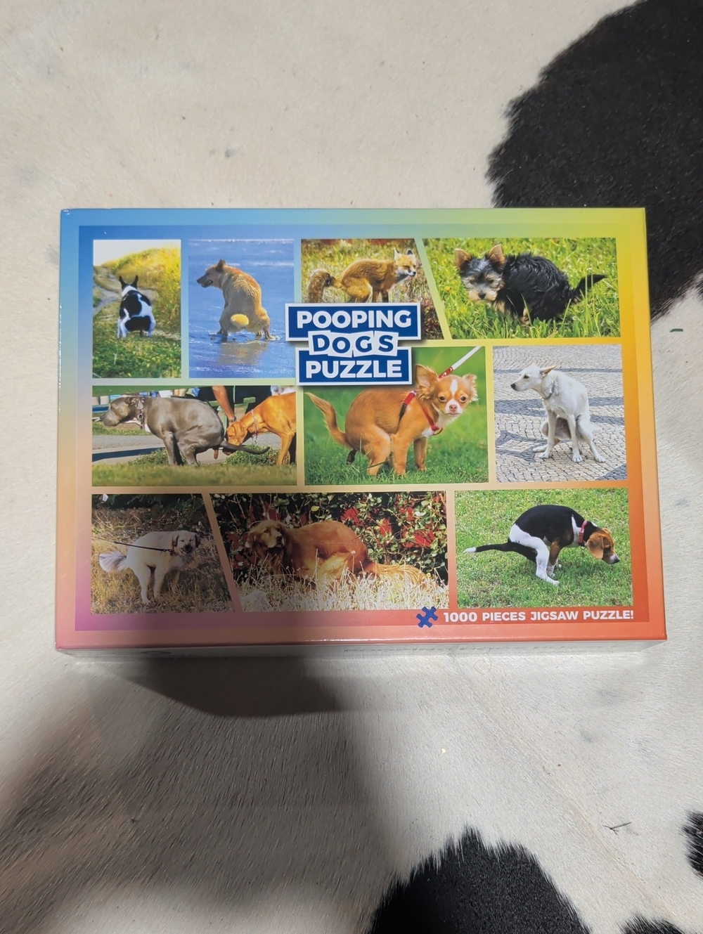 Puzzle Vibrant Multicolor Dog Photo Jigsaw